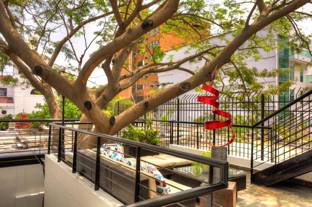 Casa De Leda, A Kali Hotel سانتا مارتا المظهر الخارجي الصورة The tree at the center of the courtyard