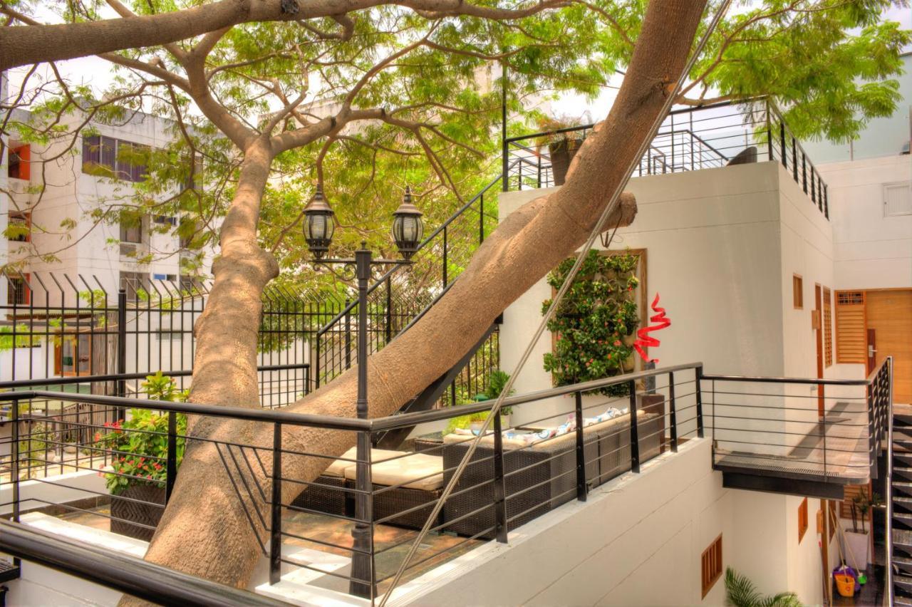 Casa De Leda, A Kali Hotel سانتا مارتا المظهر الخارجي الصورة The courtyard of the hotel