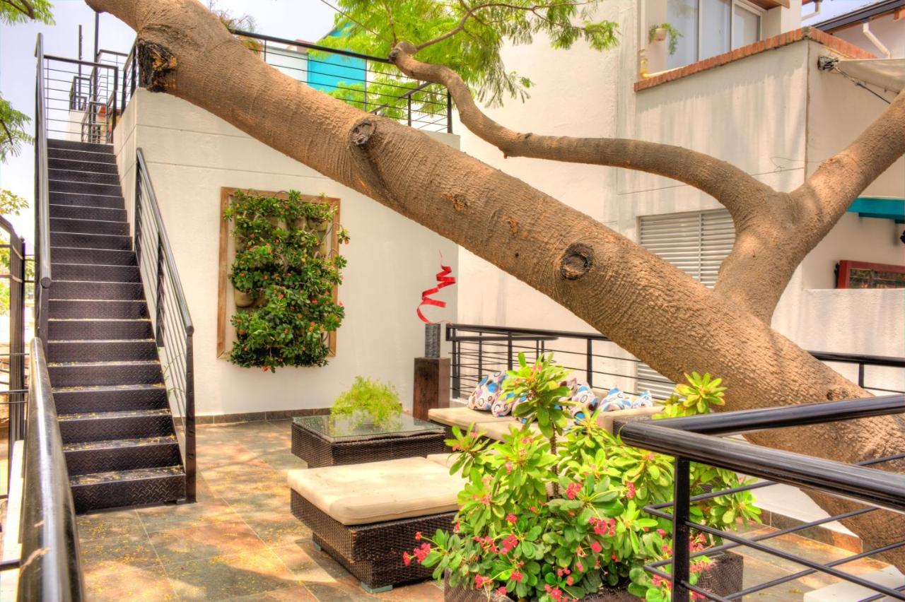 Casa De Leda, A Kali Hotel سانتا مارتا المظهر الخارجي الصورة The courtyard of the school